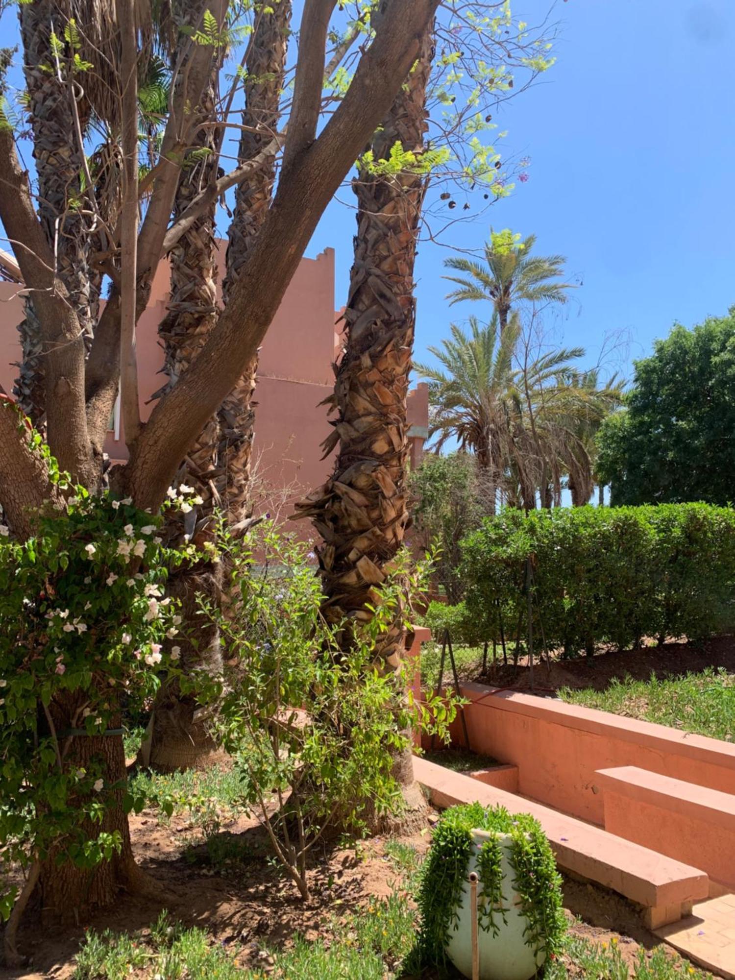 Villa Avec Piscine Privatisee A La Palmeraie Marrakesch Exterior foto