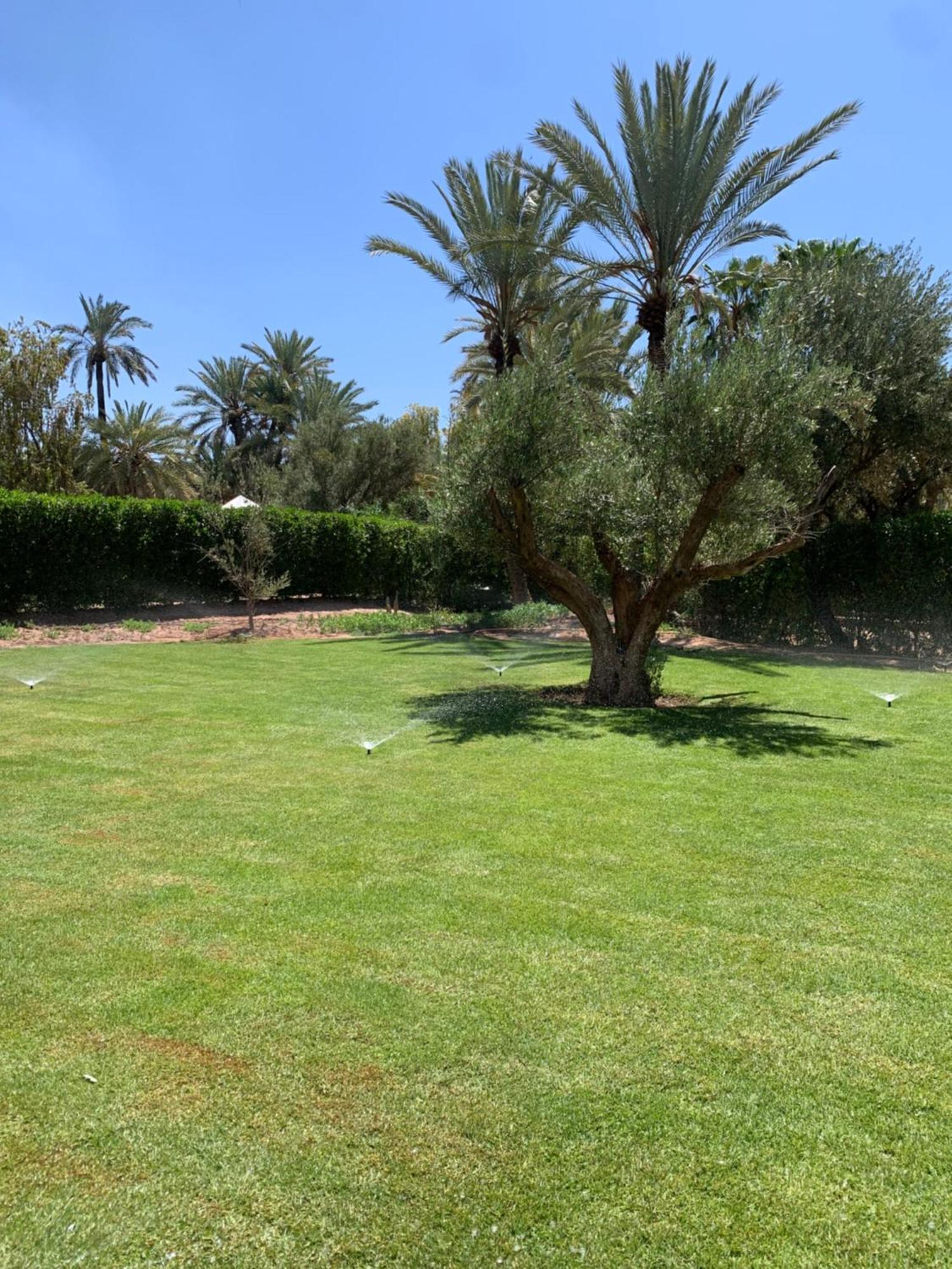 Villa Avec Piscine Privatisee A La Palmeraie Marrakesch Exterior foto