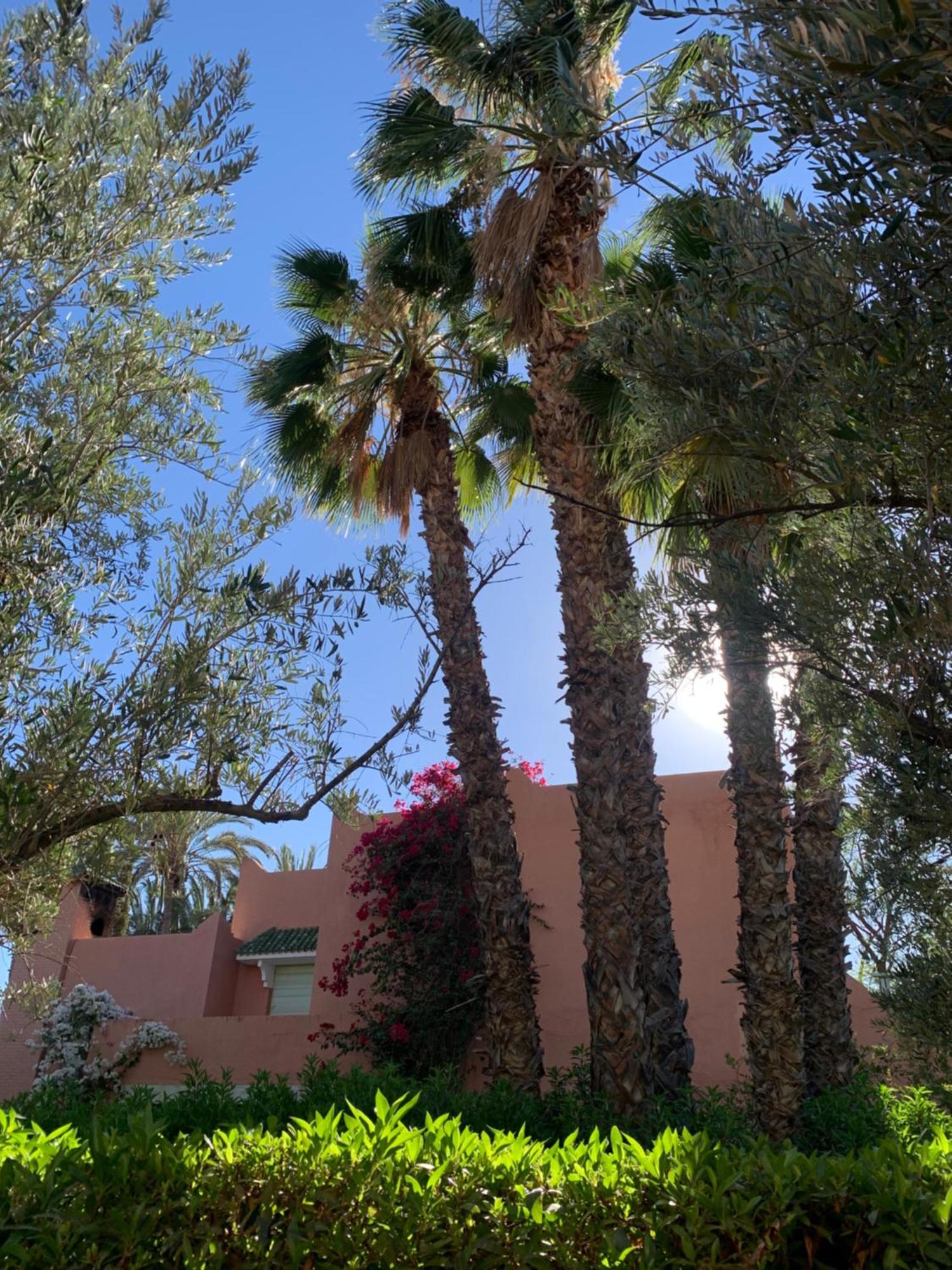 Villa Avec Piscine Privatisee A La Palmeraie Marrakesch Exterior foto