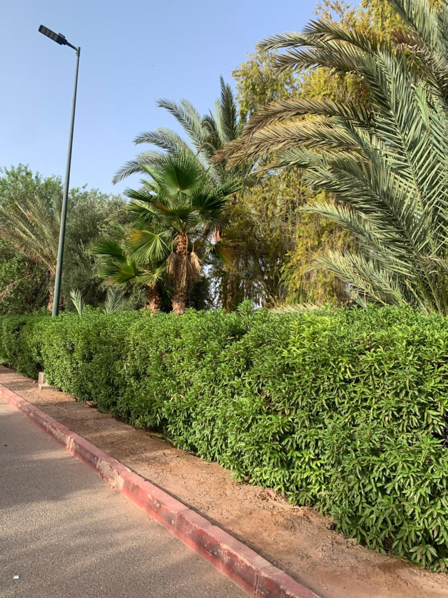 Villa Avec Piscine Privatisee A La Palmeraie Marrakesch Exterior foto